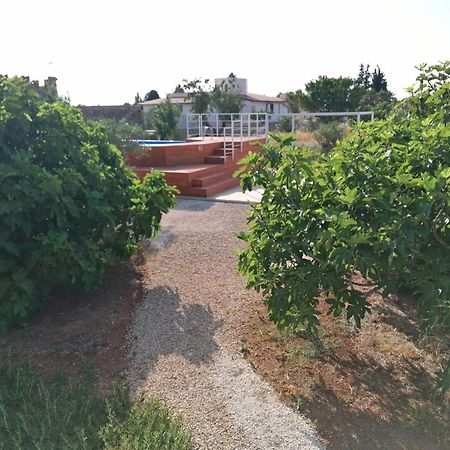 Villa Le Site Racale Exterior foto